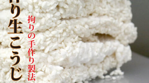 播州こうじや 手作り 生米麹（生こうじ）（生麹）1kg